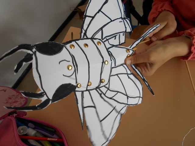 DSCN0346